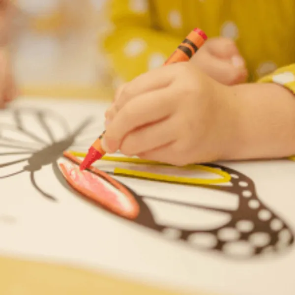 lucas alexander child coloring butterfly